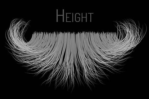 haircard height map