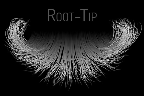 haircard root tip map